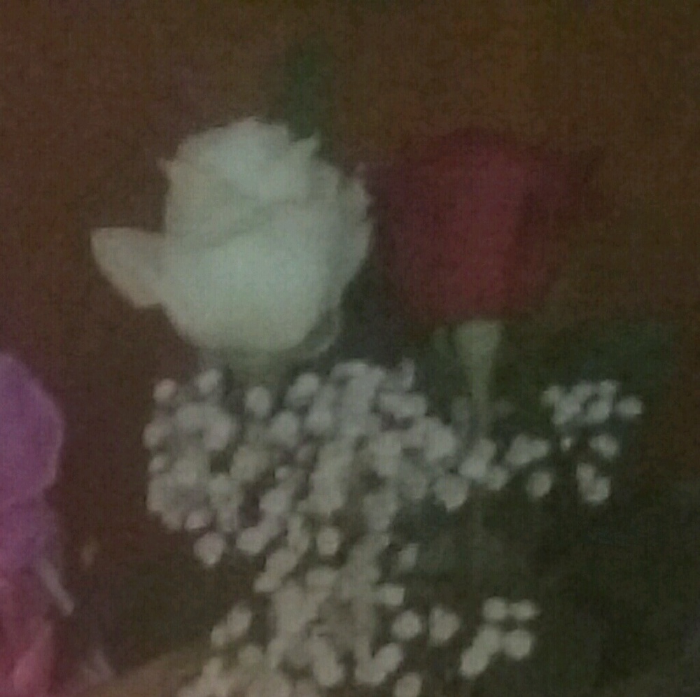 Meet your Posher, Mayra